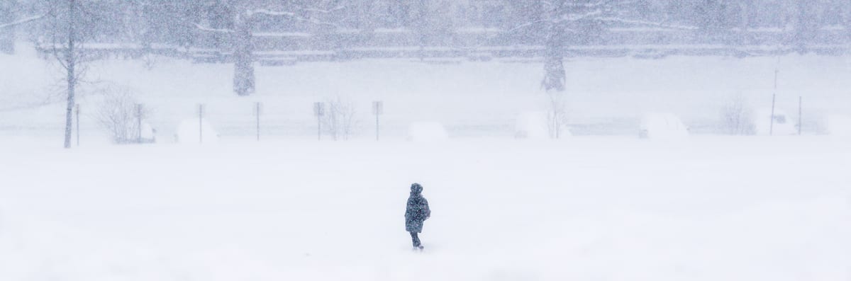 Lone figure walking through a heavy snowstorm across an open white field with bare trees in the background