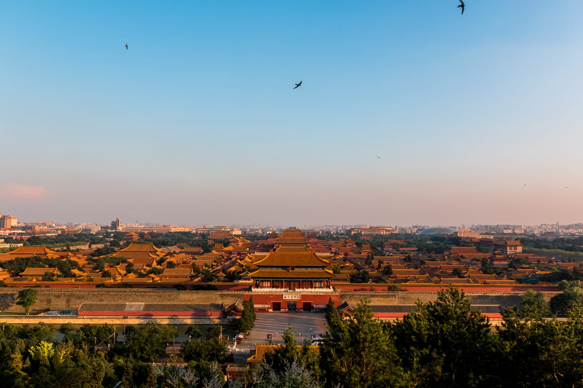 Elevated view of the Forbidden City rooftops at sunset with birds flying across a clear sky